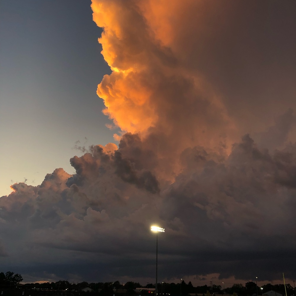 Meet your Posher, Kim